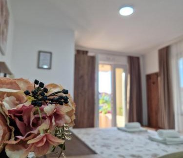 Veliko Gradiste Apartamento | Apartmani Nataly M2