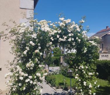 Vrnjacka Banja Apartamento | Apartmani Nik Lux