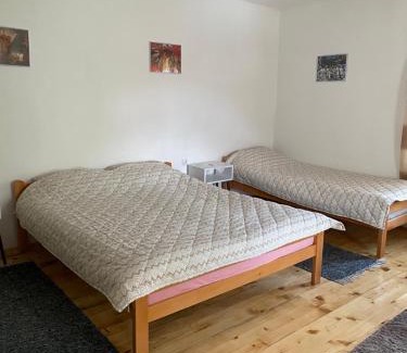Stara Planina Apartamento | Apartmani Nikola Dojkinci