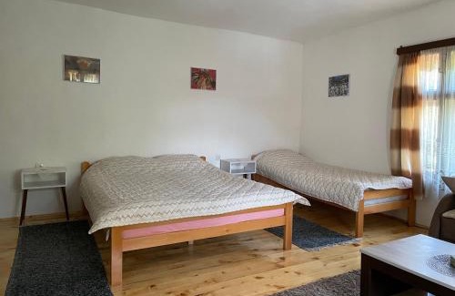 Stara Planina Apartamento | Apartmani Nikola Dojkinci