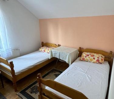 Prolomska Banja Apartamento | Apartmani Rada