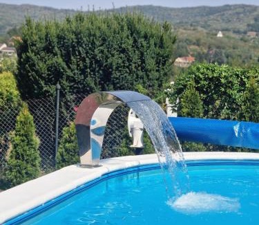 Vrdnik Apartamento | Apartmani Radaković