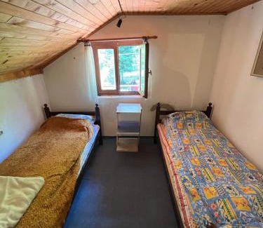 Central Serbia Apartamento | Apartmani Radulovic