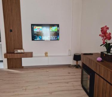 Leskovac Apartamento | Apartmani relax