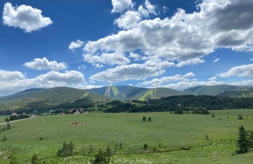 Zlatibor Apartamento | Apartmani Ribnica Tornik