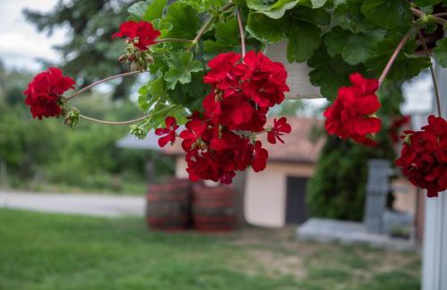 Central Serbia Apartamento | Apartmani Rosica