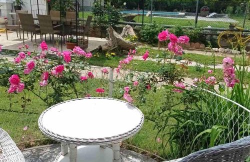 Veliko Gradiste Apartamento | Apartmani sa pogledom na Dunav - Akademik