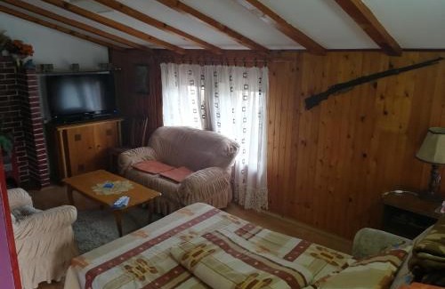 Soko Banja Apartamento | Apartmani Teodor