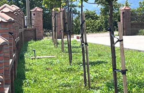 Rakari Apartamento | Apartmani Vinarije IN