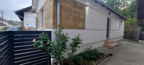 Vrdnik Apartamento | Apartmani Vranić