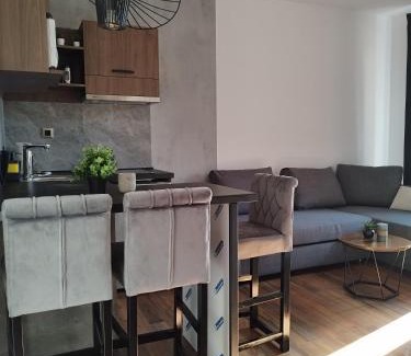 Soko Banja Apartamento | Apartmani ZAT