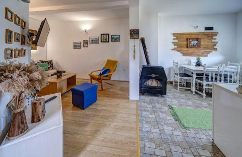 Mitrovac Apartamento | Apartmani ZELENI MEDA