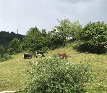 Ernen Apartamento | Apartmant Mary