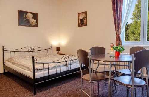Novy Smokovec Apartamento | Apartmany PAVILON D - Budget, Classic, Family - Novy Smokovec - High Tatras