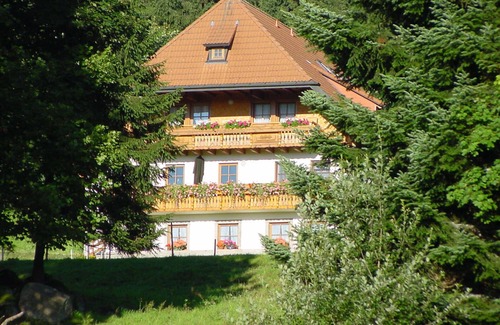 Schonach im Schwarzwald Apartamento | Apartamento 'Großzügiges Rehblick 75qm' con jardín compartido