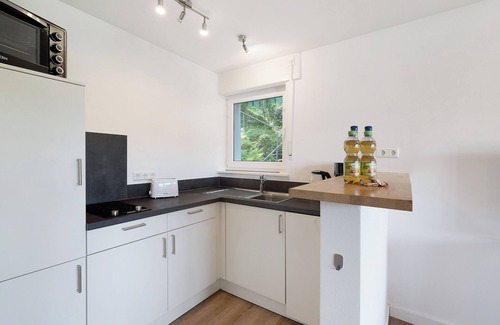 Bad Liebenzell Apartamento | Apartamento '1-Zimmer Am Hochwald' con terraza privada, jardín privado y Wi-Fi