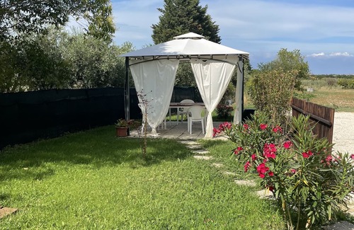 Misano Adriatico Apartamento | Apartamento 2 "Il Noce"