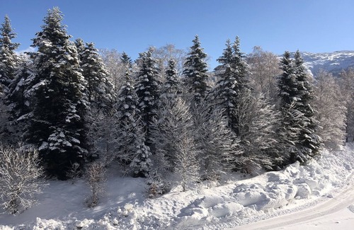 Montferrier Apartamento | Apartment 200 m from ski slopes Station Des Monts D'Olmes, Montferier