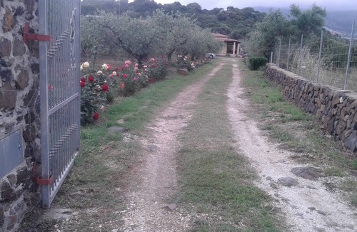 Orosei Apartamento | Apartment 300 meters from the beach in villa of the Olives and Roses