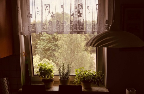 Slupsk Apartamento | apartamento, 50 M2, a 600 metros del centro de la ciudad, bonita vista al parque
