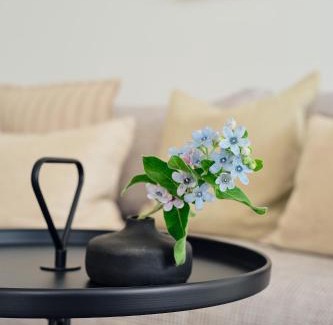 Zirchow Apartamento | Apartment A 5 "Pine Hill Resort"