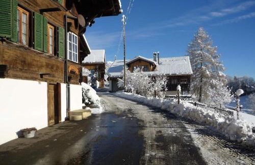 Boltigen Apartamento | Apartment Adlemsried by Interhome