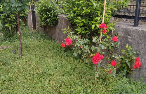 San Teodoro Apartamento | Apartamento 'Al Giardino Da Teresina' con jardín privado y aire acondicionado