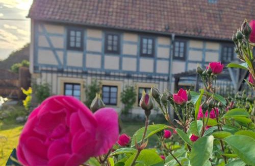 Soernewitz Apartamento | Apartment am Boselgarten