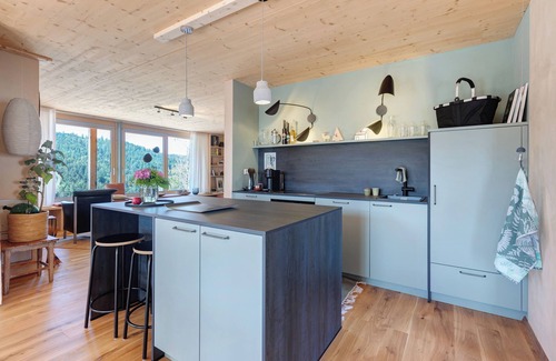 Triberg im Schwarzwald Apartamento | Apartamento 'Ferienwohnung Am Stadtwald' con vistas a la montaña, terraza privada y Wi-Fi