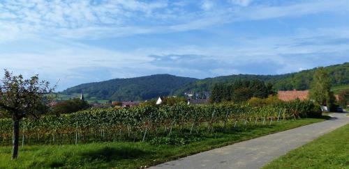 Oberotterbach Apartamento | Apartment An der Weinstraße