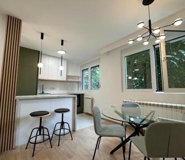 Dorcol Apartamento | Apartment Angelo
