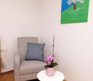 Seitenstetten Apartamento | Apartment Anna im Mostviertel
