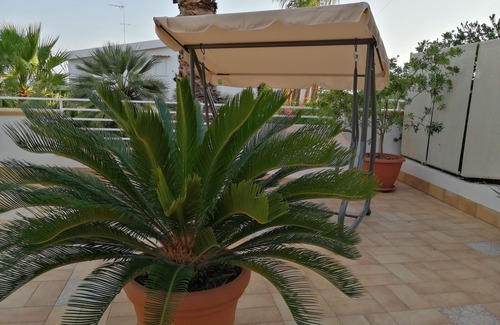 Localita San Giorgio Apartamento | apartamento a 200 metros de la magnífica playa de Timpi Russi