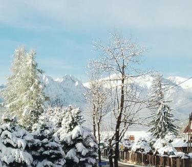 Zakopane Apartamento | Apartment at the Obelisk - entire place