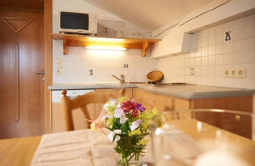 Wagrain Apartamento | Apartment B mit ca 54 qm - im Auhof Wagrain