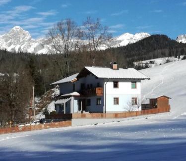 Forstau Apartamento | Apartment Bachweg