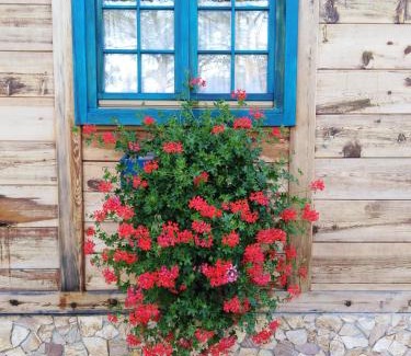 Mokra Gora Apartamento | Apartment Bajka