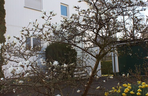 Appenweier Apartamento | Apartamento detrás del molino