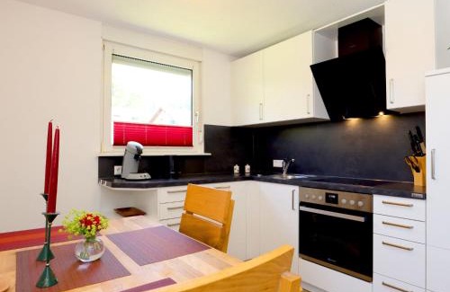 Schonach im Schwarzwald Apartamento | Apartment Blackforest Birdnest by Interhome