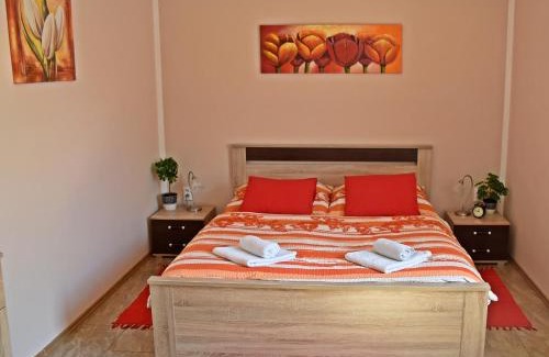 Srbsko Apartamento | Apartment Boroví
