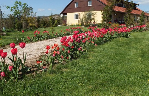 Srbsko Apartamento | Apartment Boroví