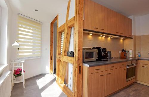 Zella-Mehlis Apartamento | Apartment Carola by Interhome