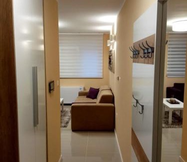 Zrenjanin Apartamento | Apartment Cherry Gold