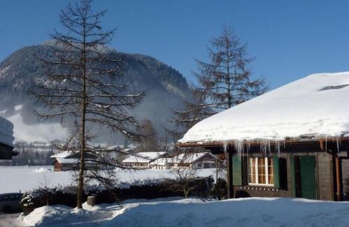 Saanen Apartamento | Apartment Chez-Nous by Interhome