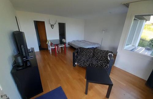 Aeschi bei Spiez Apartamento | Apartment Chilis Ferienresidenz by Interhome