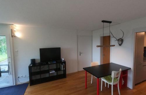 Aeschi bei Spiez Apartamento | Apartment Chilis Ferienresidenz by Interhome