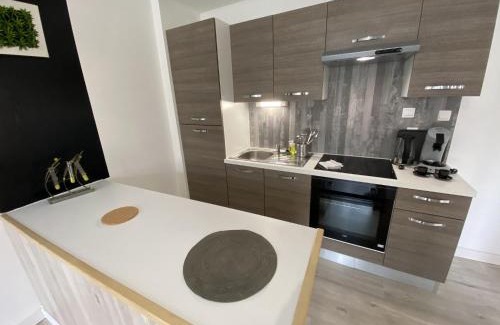 Fontaine Lestang-Bagatelle-Papus-Tabar-Bordelongue Apartamento | Apartment close to metro, Toulouse