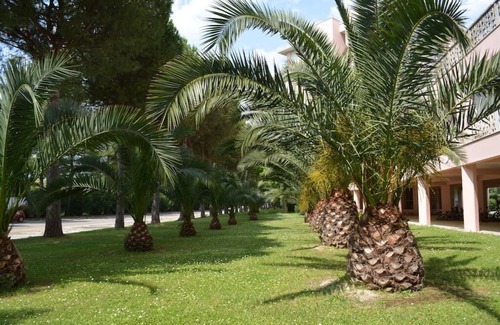 Marcelli Apartamento | Apartamento con piscinas y parque a tiro de piedra del mar.