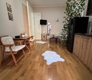 Terazije Apartamento | Apartment Dana