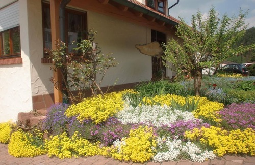 Bruchweiler-Baerenbach Apartamento | Apartment/Fewo 1 "Jüngstberg" - House Eybergblick
